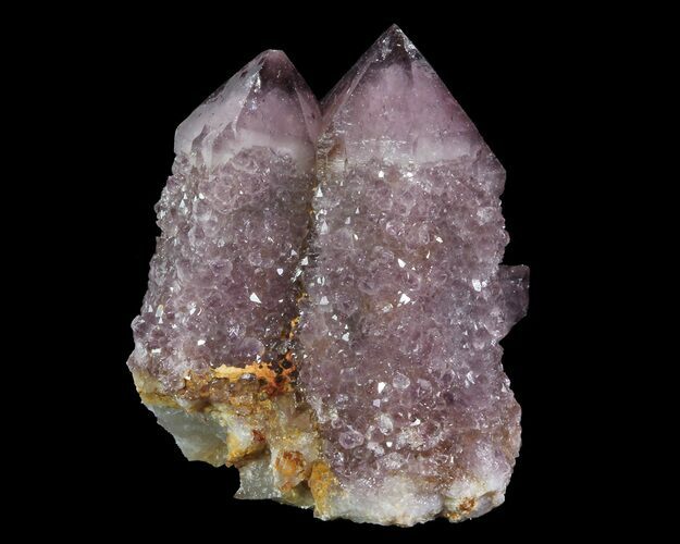 Cactus Quartz (Amethyst) Crystal Cluster - South Africa #64238
